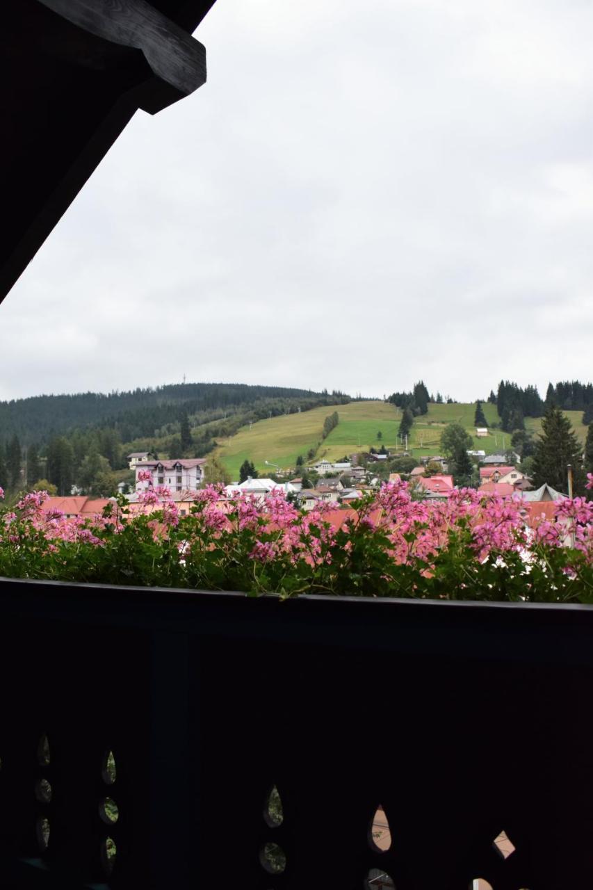 Hotel Vila Seva Vatra Dornei Zewnętrze zdjęcie