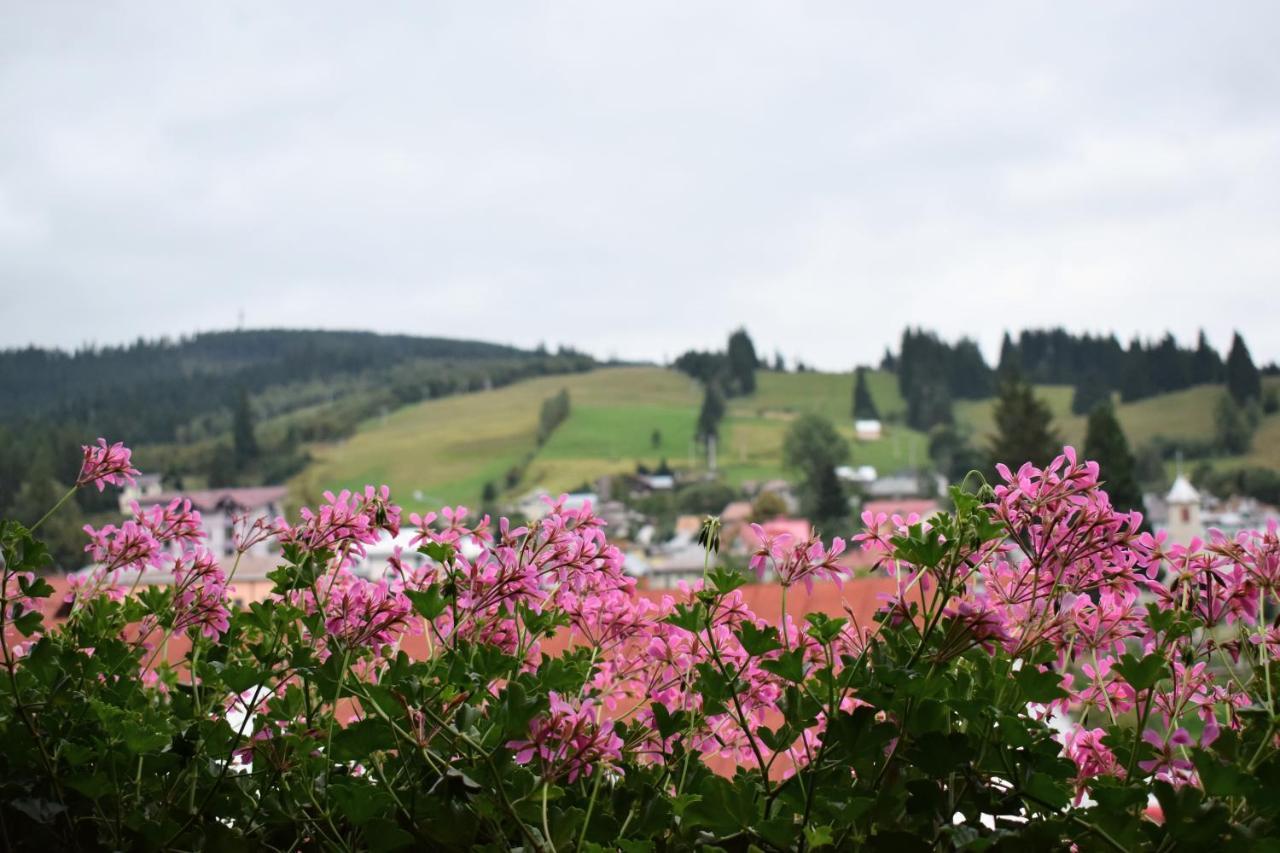 Hotel Vila Seva Vatra Dornei Zewnętrze zdjęcie