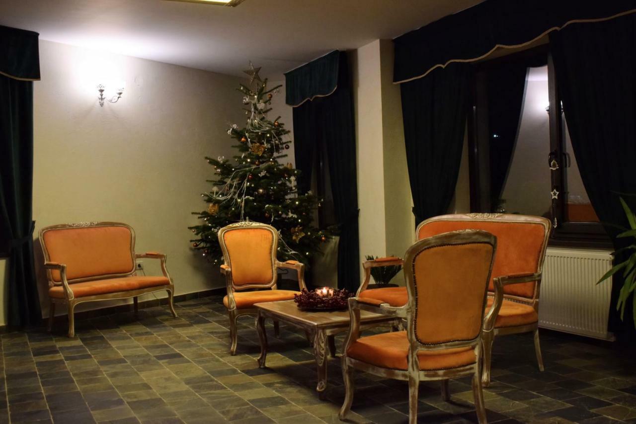 Hotel Vila Seva Vatra Dornei Zewnętrze zdjęcie