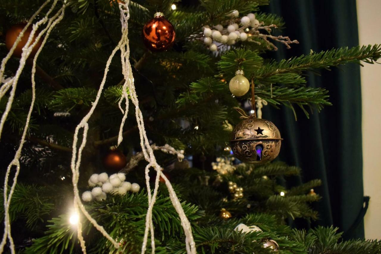 Vila Seva Vatra Dornei Zewnętrze zdjęcie